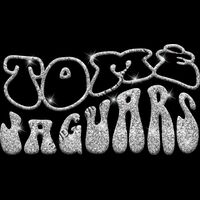 GLT98 SILVER GLITTER Thumbnail